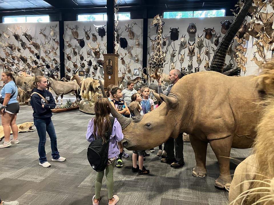 a group of children look at a room of taxidermy animal specimens